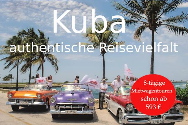 Palmen drei Oldtimer kuba