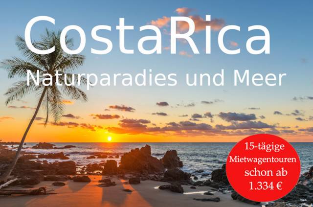 Palmen Meer Costa Rica